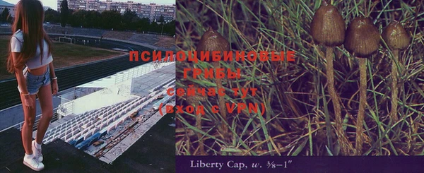каннабис Аркадак