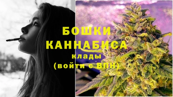 каннабис Аркадак