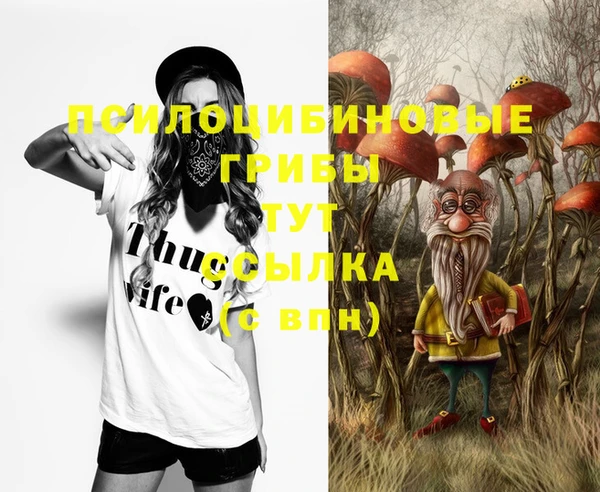каннабис Аркадак
