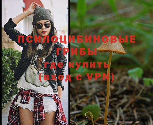 крисы Арсеньев