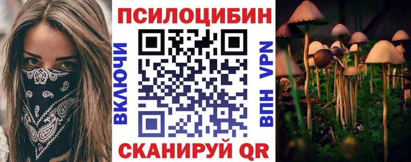 Псилоцибиновые грибы прущие грибы  блэк спрут сайт  Теберда 